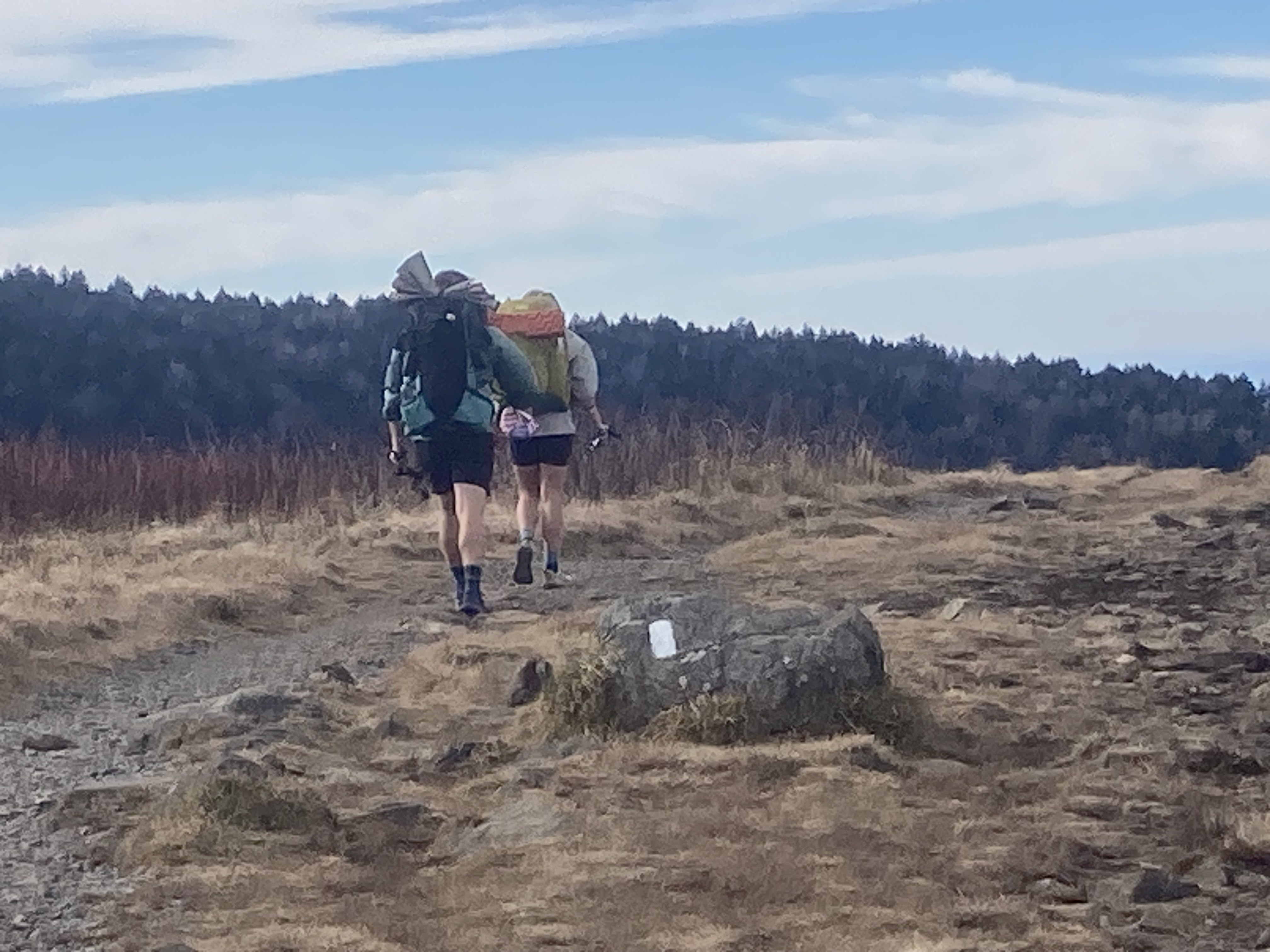The Appalachian Trail: Everything You Need to Know