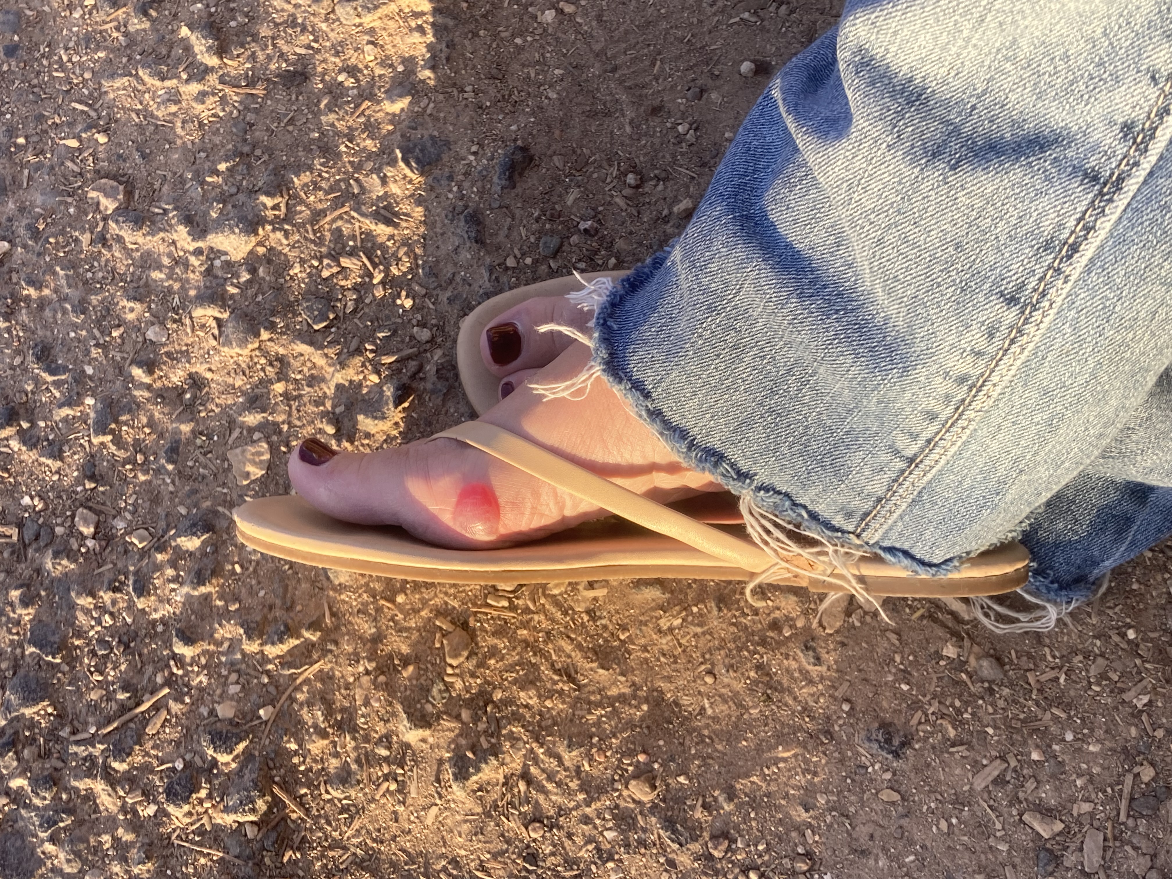 One Mile In: What the Grand Canyon Does to Unprepared Hikers